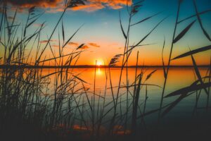 Sonnenzeit eine Poesie auf Männerrosa.de