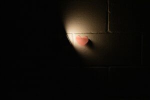 Herz in Lockdown, Poesie auf Männerrosa.de